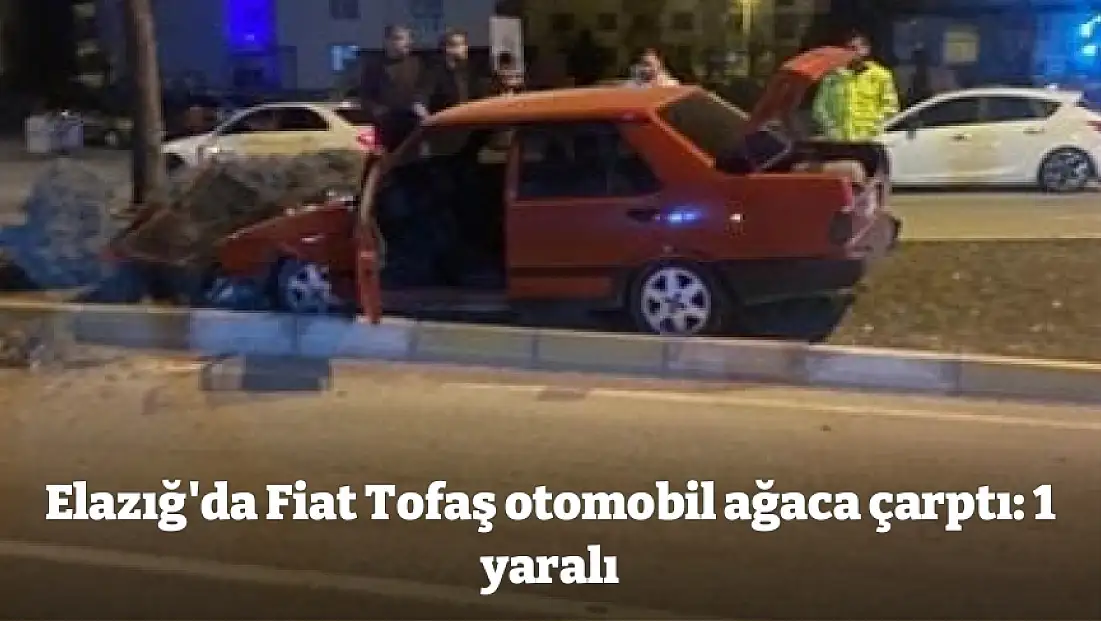 Elazığ'da Fiat Tofaş otomobil ağaca çarptı: 1 yaralı