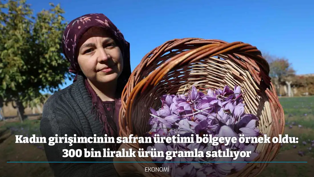 Kadın girişimcinin safran üretimi bölgeye örnek oldu: 300 bin liralık ürün gramla satılıyor