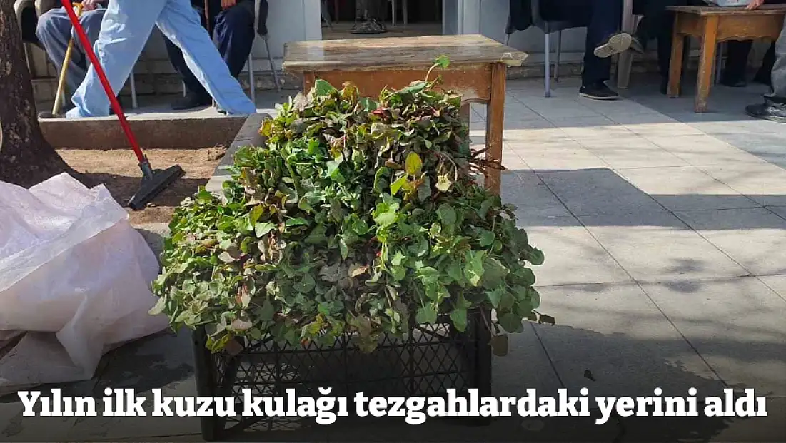 Yılın ilk kuzu kulağı tezgahlardaki yerini aldı