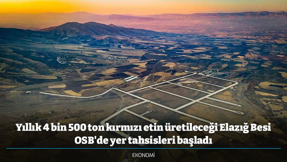 Yıllık 4 bin 500 ton kırmızı etin üretileceği Elazığ Besi OSB'de yer tahsisleri başladı