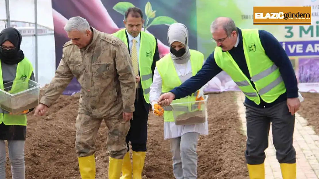 İpek Yolu'nda 3 milyon aromatik fide tohumu toprakla buluştu