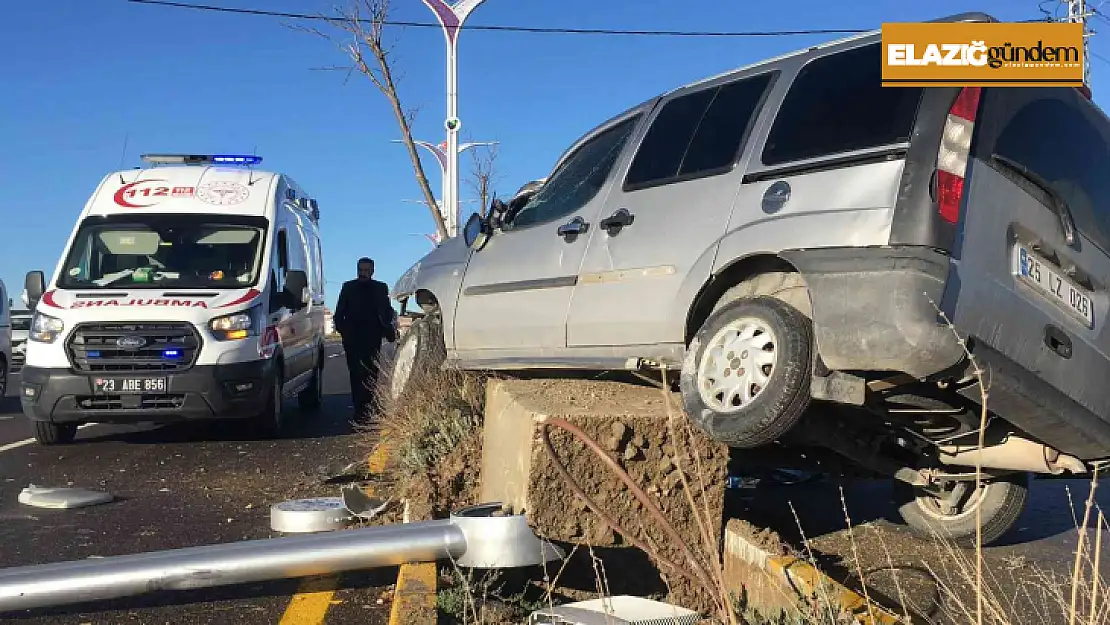 Ağaca ve aydınlatma direğine çarpan hafif ticari araç asılı kaldı: 1 yaralı