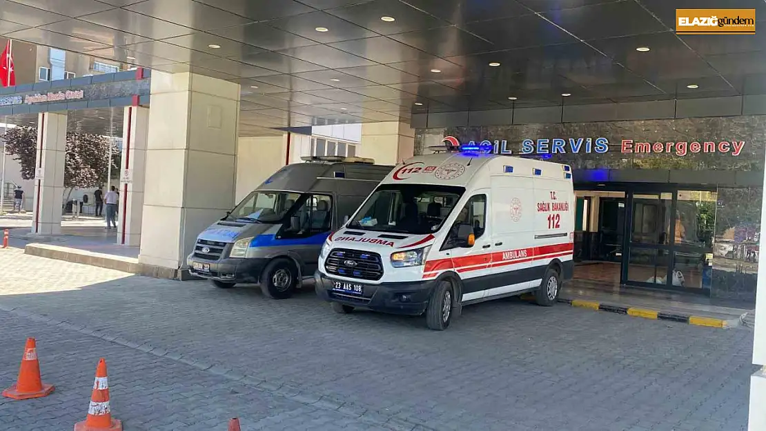 Ahırda süt sağan kadını kene ısırdı