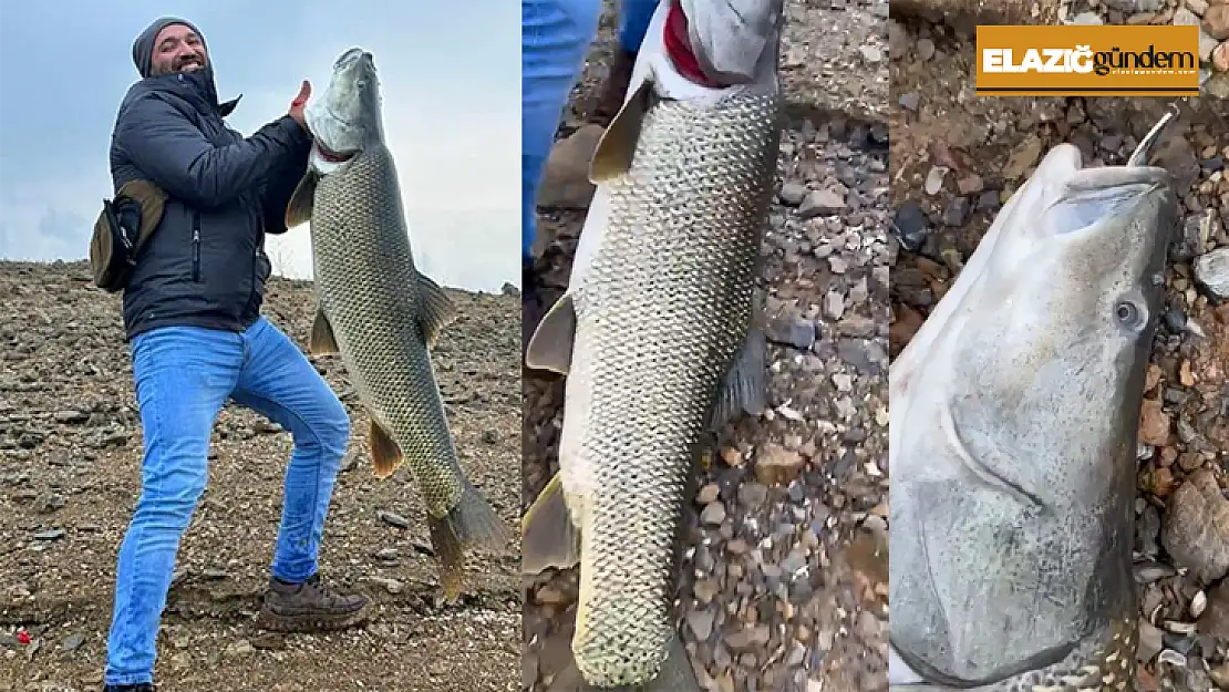 Amatör balıkçı, oltayla 1.16 metre uzunluğunda turna balığı tuttu