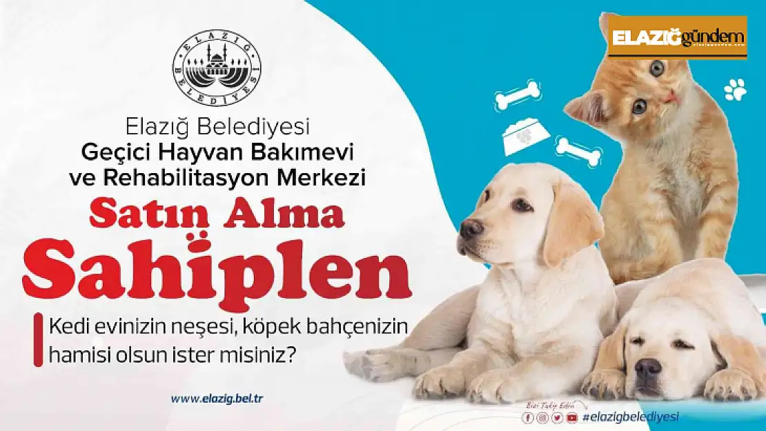 Başkan Şerifoğulları: Kampanya ciddi oranda karşılık bulacaktır