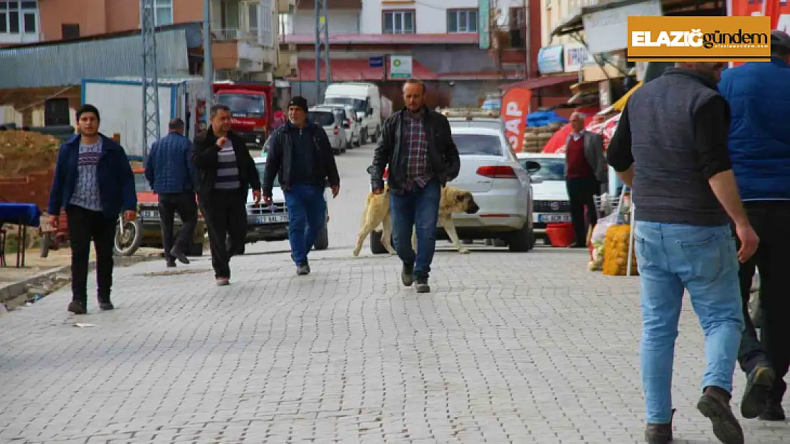 Depremin ardından vatandaşlar bu ilçeye akın etti