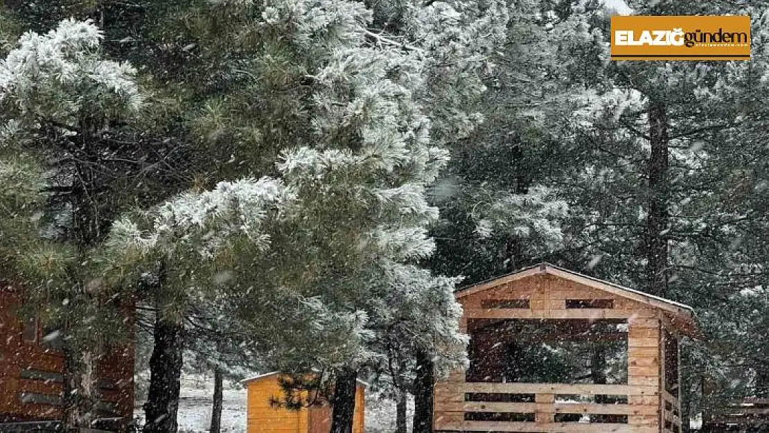 Elazığ'a mevsimin ilk karı düştü