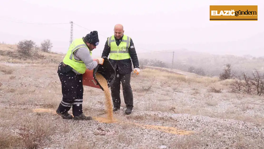 Elazığ Belediyesi yaban ve sokak hayvanları için çalışma başlattı