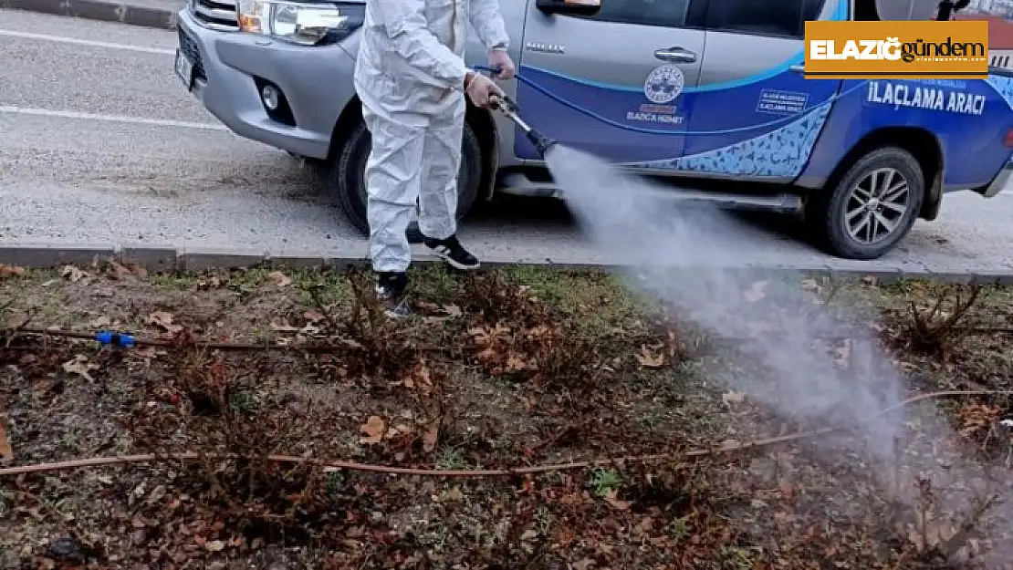 Elazığ'da  ilaçlama çalışmaları sürüyor