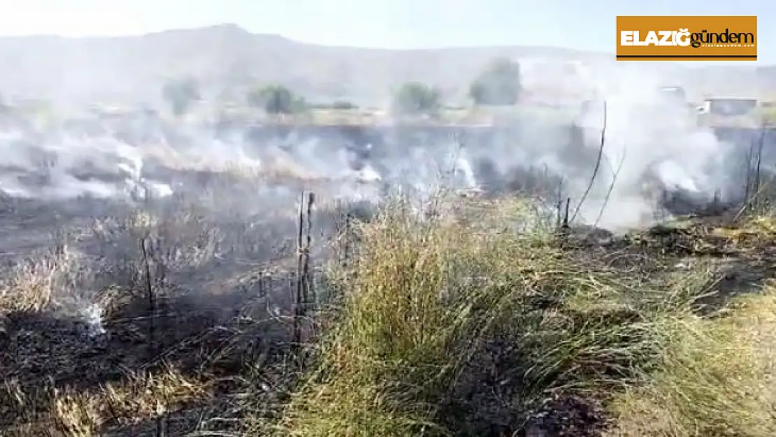 Elazığ'da 10 dönüm tarım arazisi yandı