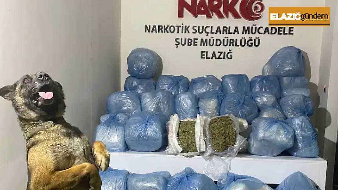 Elazığ'da 123 kilo uyuşturucu madde ele geçirildi: 11 tutuklama