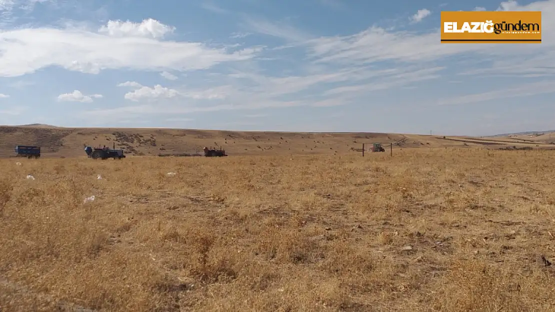 Elazığ'da 136 bin dekar alanda mera ıslah çalışmaları tamamlandı