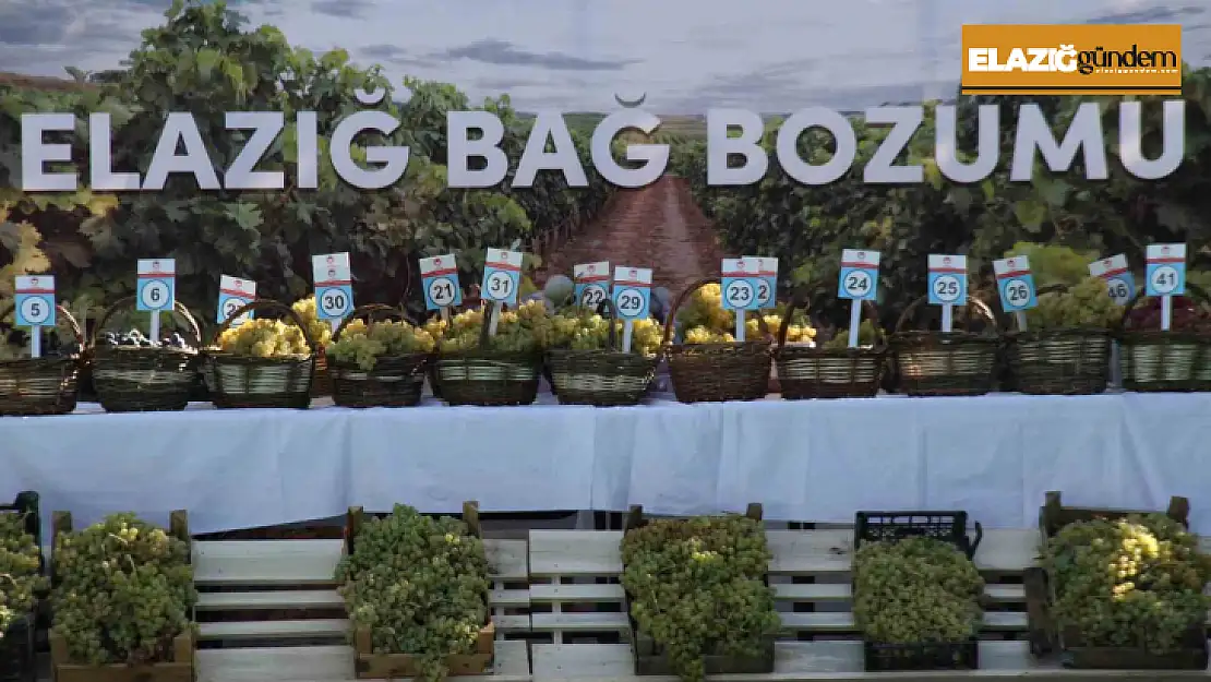 Elazığ'da 17'nci Bağ Bozumu Festivali gerçekleştirildi