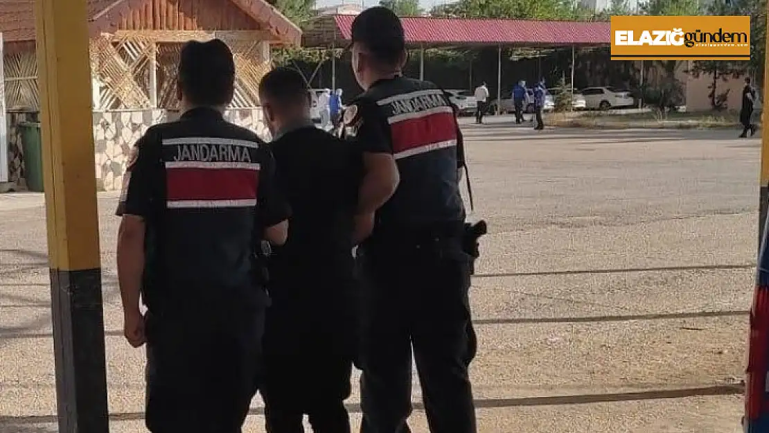 Elazığ'da 29 yıl kesinleşmiş hapis cezası bulunan zanlı tutuklandı