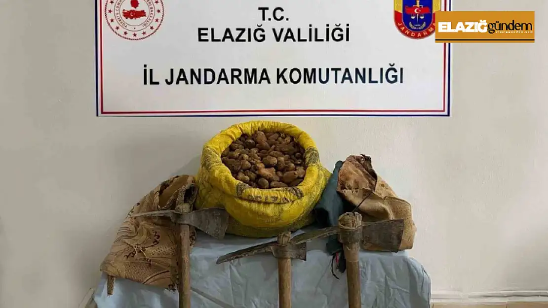 Elazığ'da 30 kilogram salep bitkisi ele geçirildi