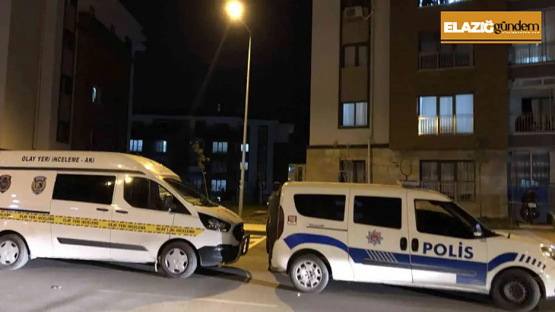 Elazığ'da 4'üncü kattan düşen kadın yaralandı