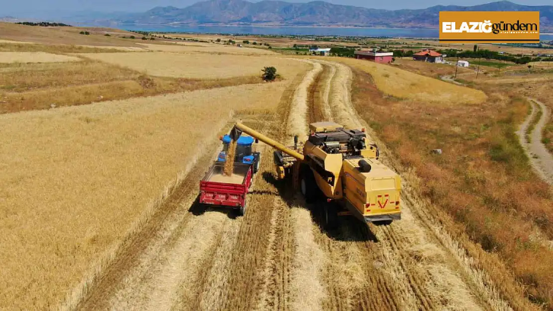 Elazığ'da 900 bin dekar alanda hasat yapılması bekleniyor