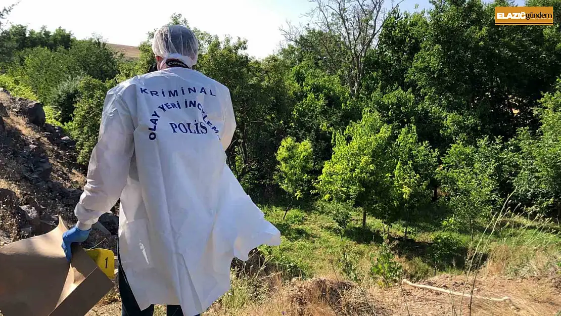 Elazığ'da ağaca asılı halde erkek cesedi bulundu