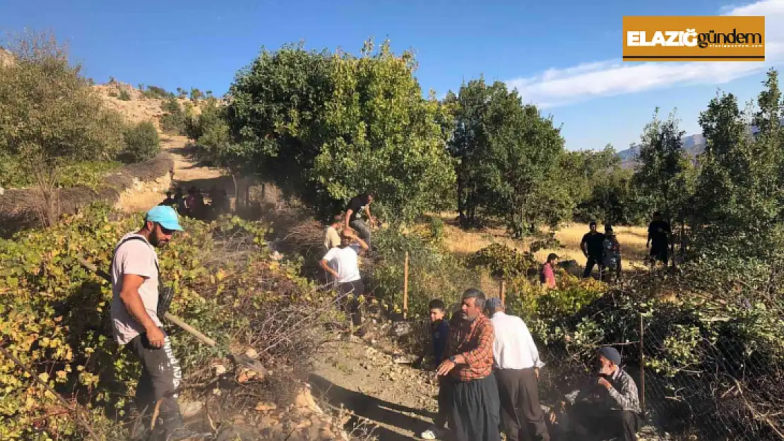 Elazığ'da ağaçlık alanda yangın: Vatandaşlar seferber oldu