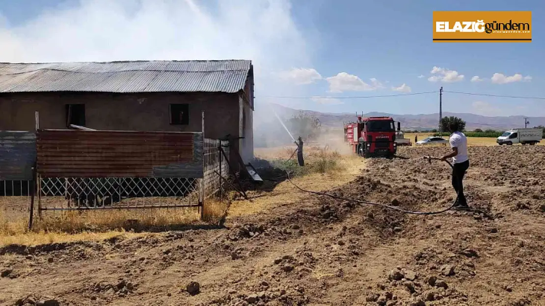 Elazığ'da ahır yangını: 18 büyükbaş kurtarıldı, 30 ton saman yandı