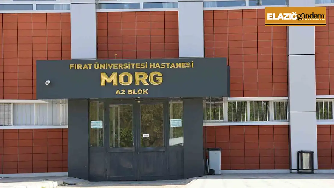 Elazığ'da araç şarampole yuvarlandı: 1 ölü