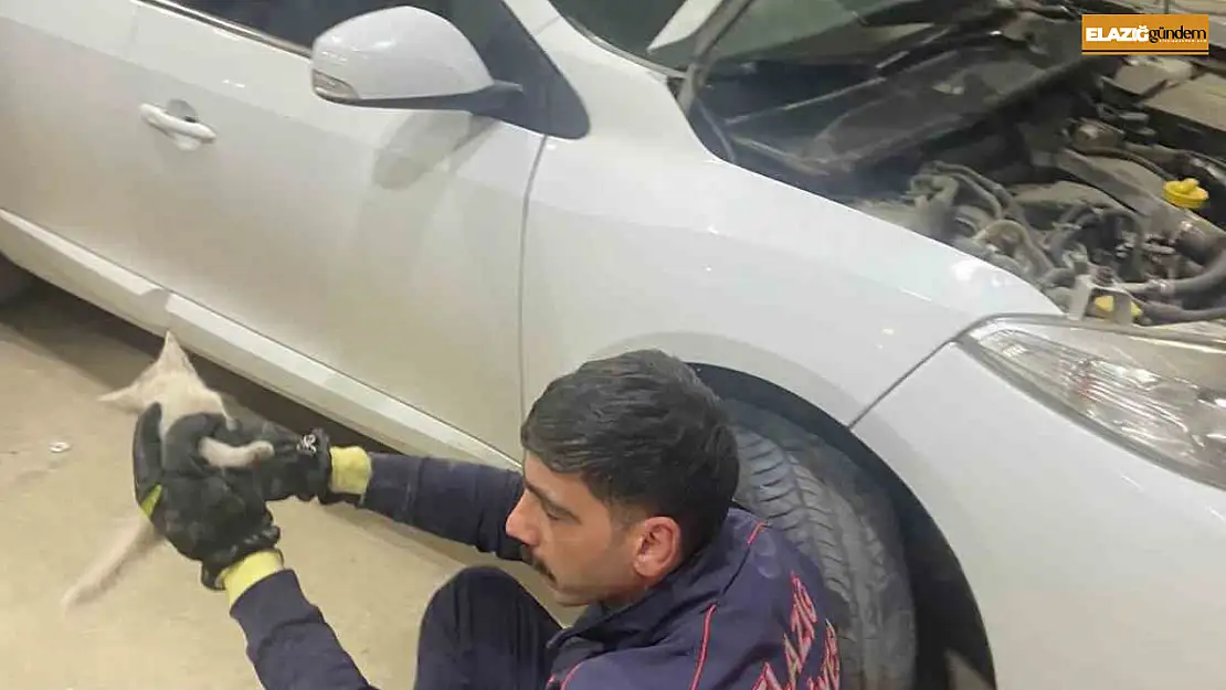 Elazığ'da aracın motor kısmına sıkışan kedi, itfaiye tarafından kurtarıldı