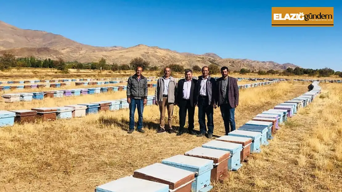 Elazığ'da arılı kovan denetimleri sürüyor