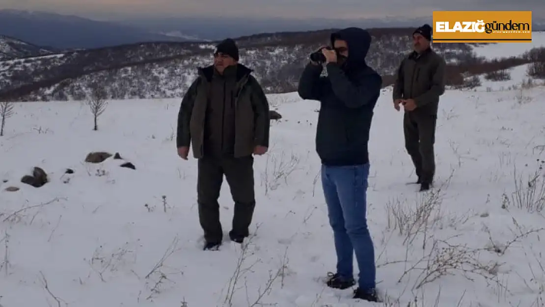 Elazığ'da av koruma ve kontrol faaliyetleri sürüyor