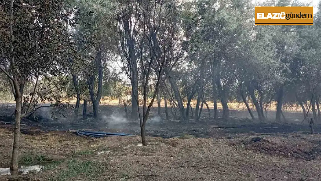 Elazığ'da bahçede korkutan yangın