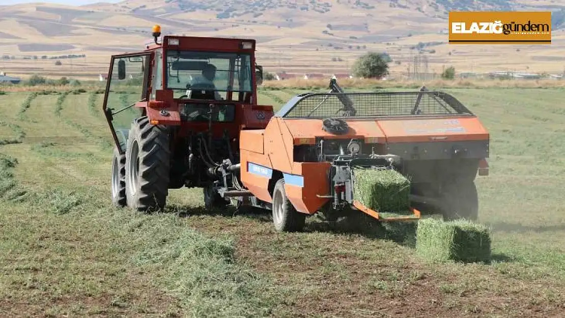 Elazığ'da balyalama  mesaisi başladı