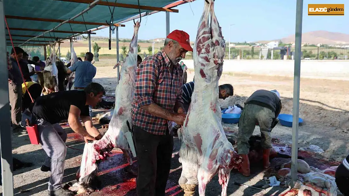 Elazığ'da bayram namazını kılan vatandaşlar, kurbanlarını kesti