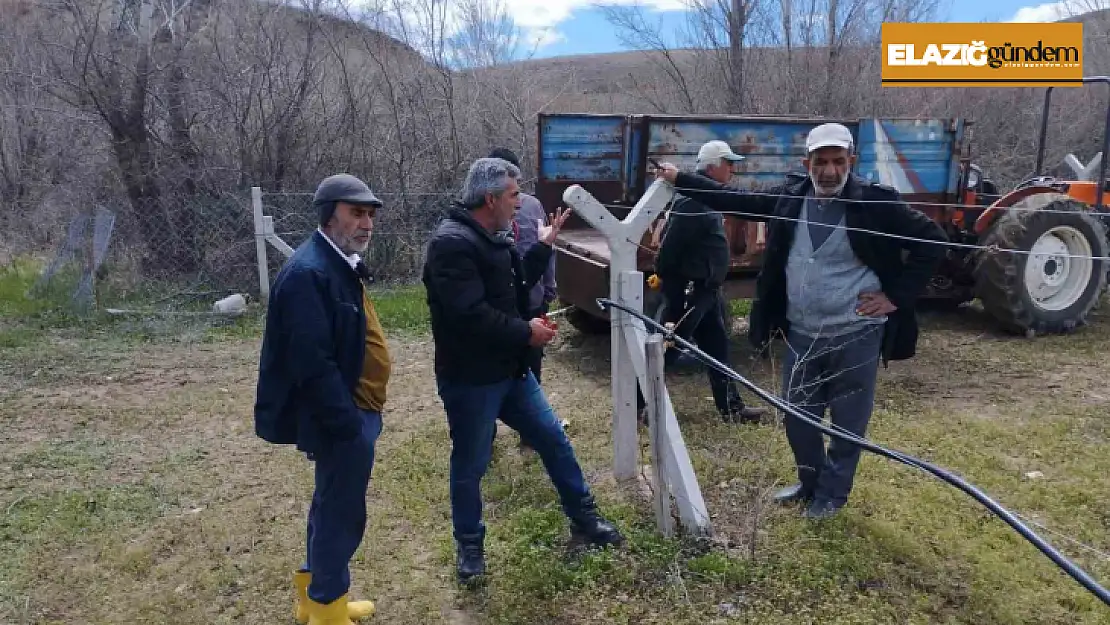 Elazığ'da çiftçilere bağ budama eğitimi