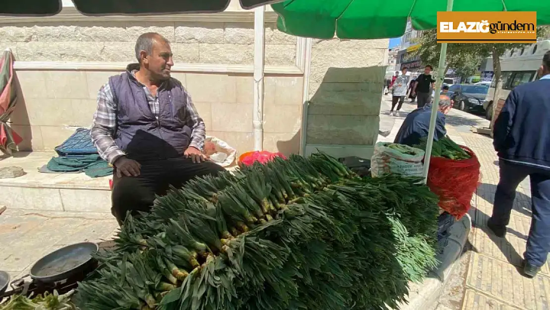 Elazığ'da çiriş otu tezgahlarda yerini aldı