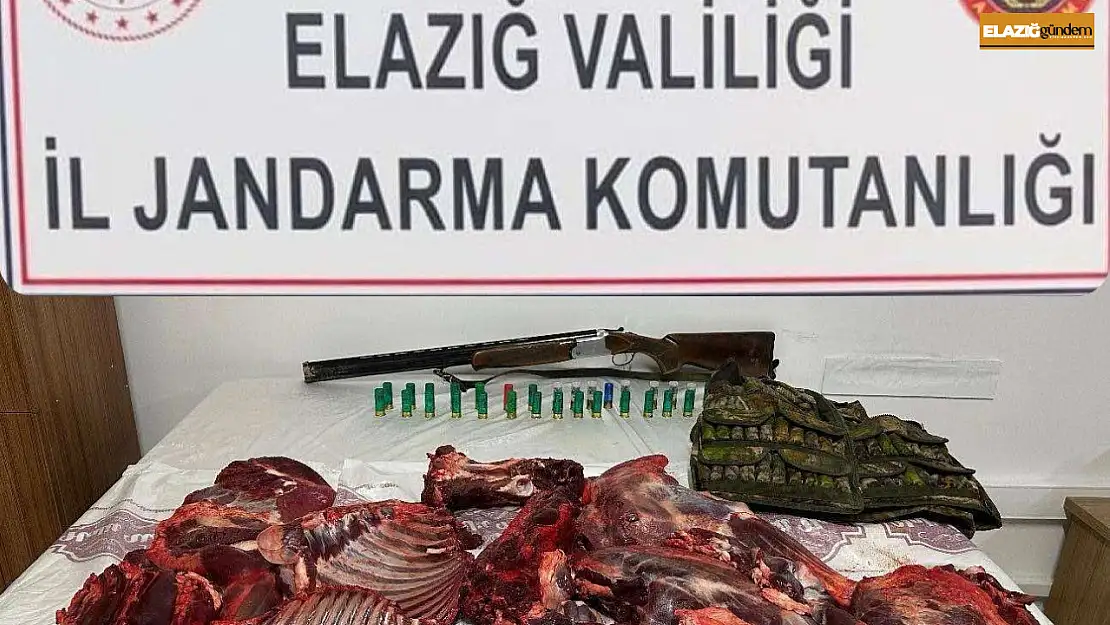 Elazığ'da dağ keçisini avlayan şahsa 650 bin lira ceza kesildi