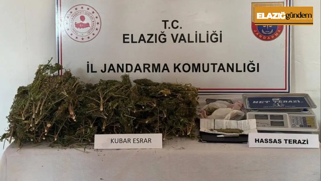 Elazığ'da evde 3 kilo 200 gram esrar ele geçirildi: 1 gözaltı