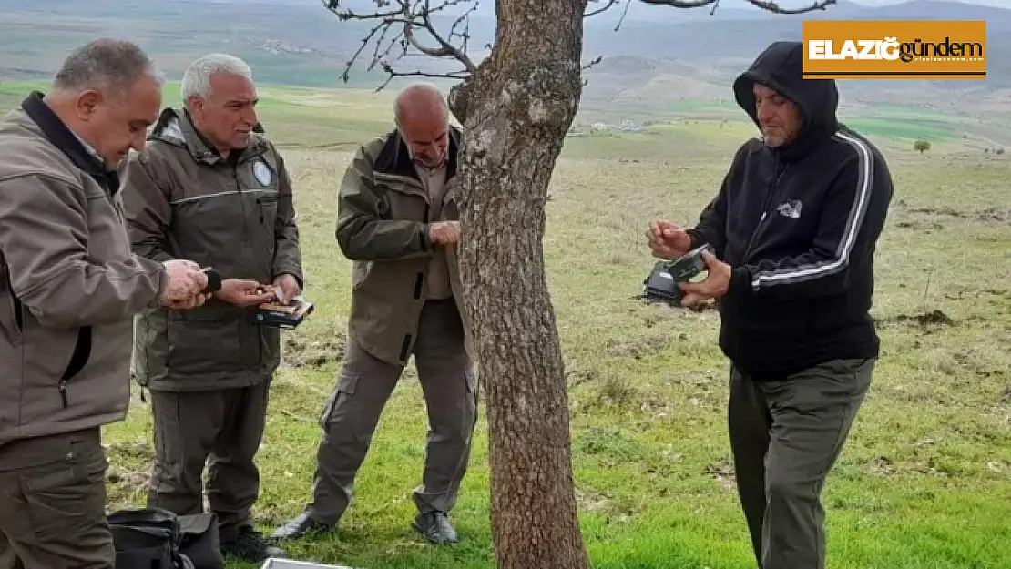 Elazığ'da fotokapanların bakımı yapıldı