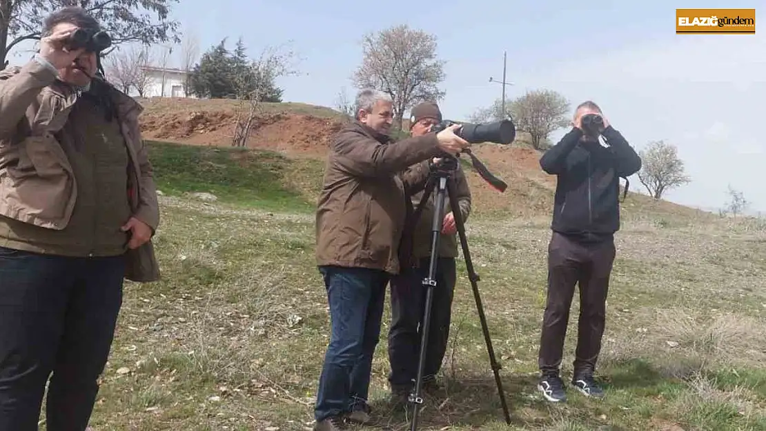 Elazığ'da güncel kuş yoğunluk haritası çalışmaları