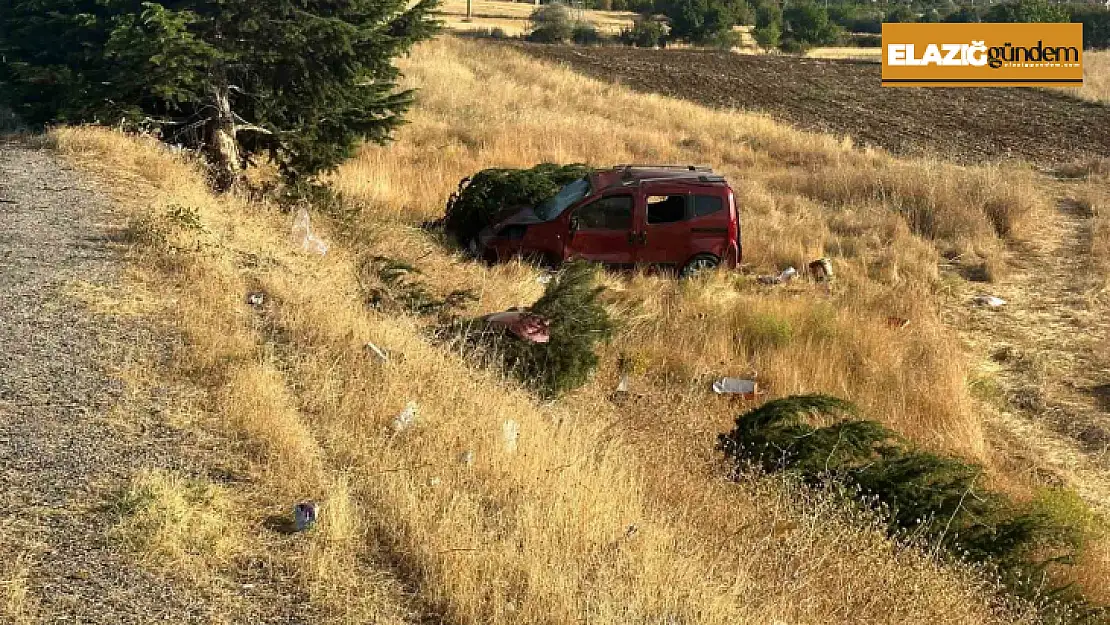 Elazığ'da hafif ticari araç şarampole uçtu: 1 ölü, 4  yaralı