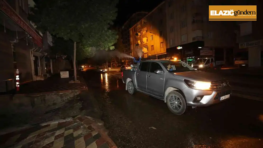 Elazığ'da ilaçlama çalışmaları sürüyor