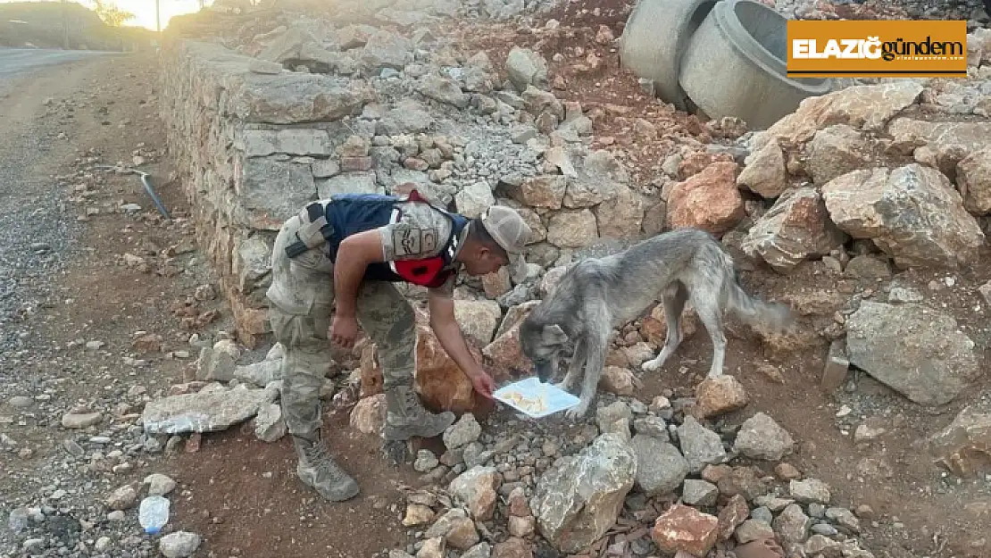 Elazığ'da jandarmadan 4 Ekim Dünya Hayvanları Koruma Günü etkinliği