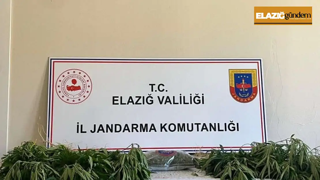 Elazığ'da jandarmadan eş zamanlı uyuşturucu operasyonu