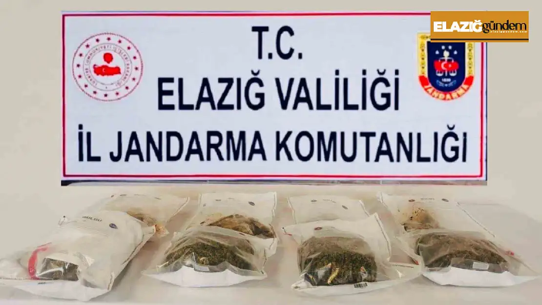 Elazığ'da jandarmadan uyuşturucu tacirlerine darbe