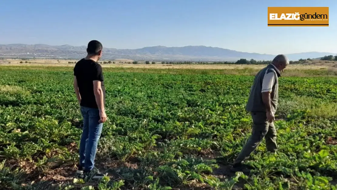 Elazığ'da kaçak avcılığın önlenmesi için denetimler sürüyor