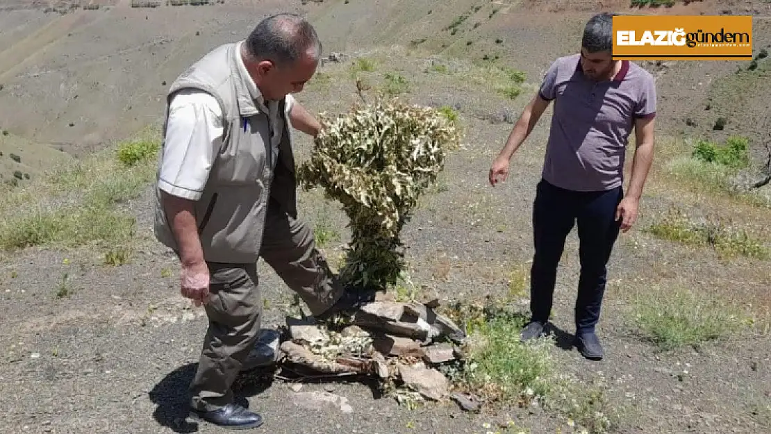 Elazığ'da kaçak avcılığın önlenmesi için denetimler sürüyor