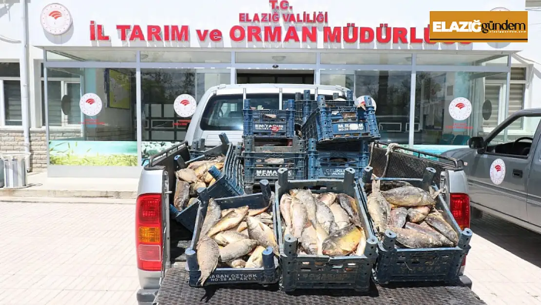 Elazığ'da kaçak avlanan 84 kişiye 350 bin lira ceza