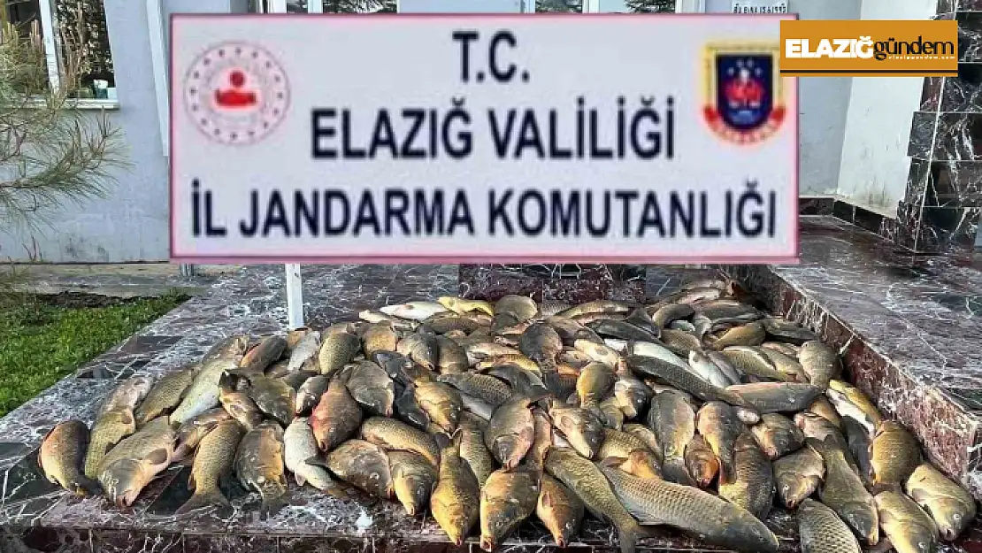 Elazığ'da kaçak balık avı yapan 3 şahsa, 49 bin lira ceza