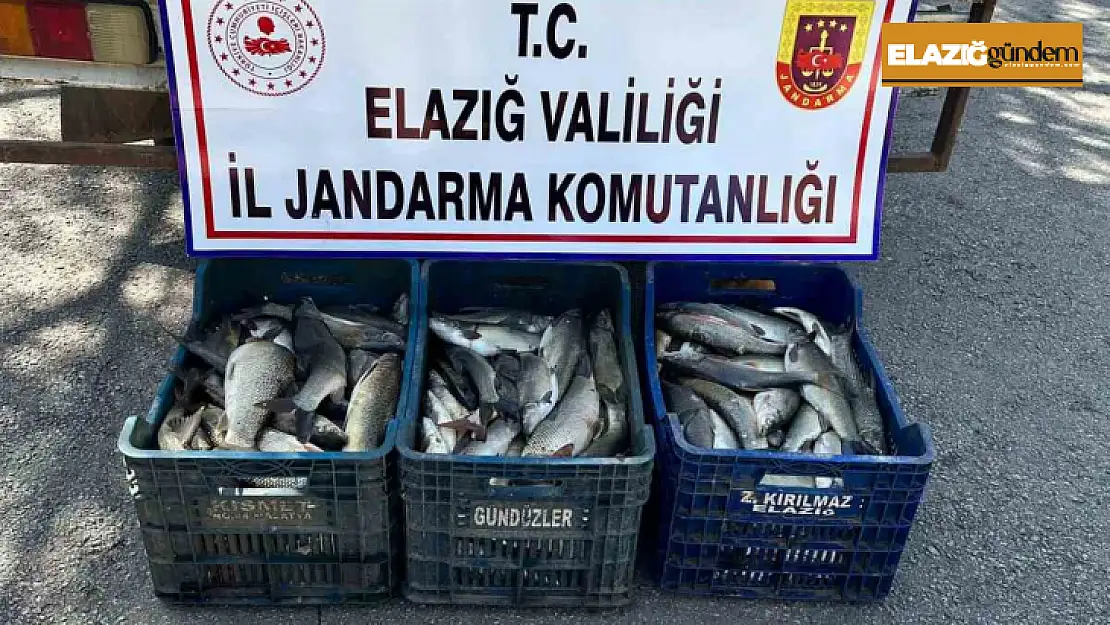 Elazığ'da kaçak balık avı yapan şüpheli yakalandı