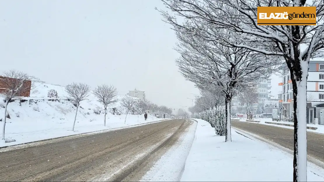 Elazığ'da kar etkili oldu