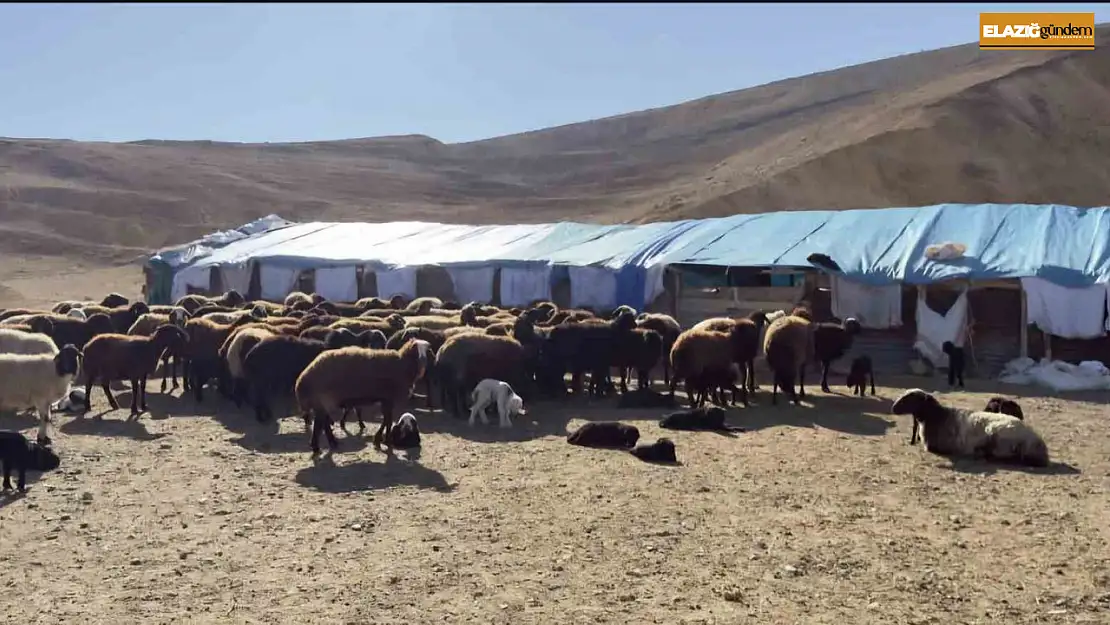 Elazığ'da karantina uygulanan 3 ilçede ekiplerin çalışmaları sürüyor