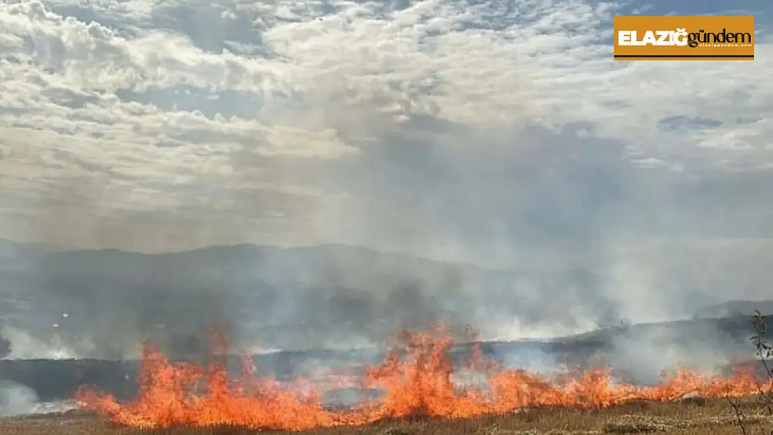 Elazığ'da korkutan anız yangını